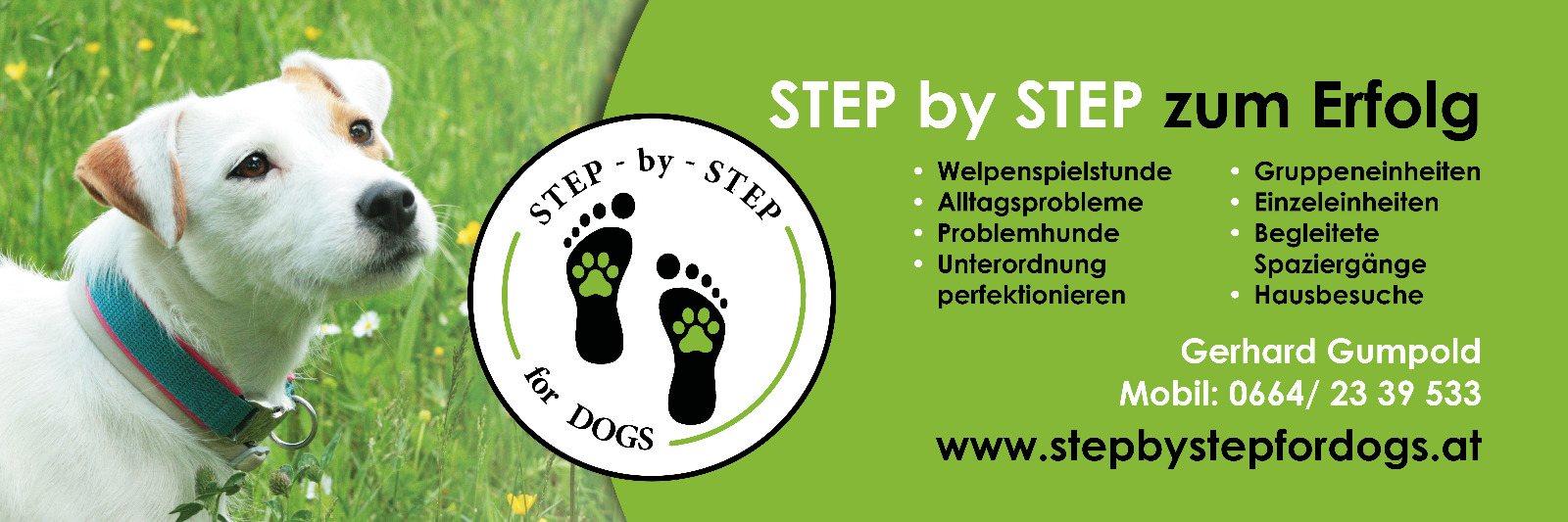 Step by Step for DOG